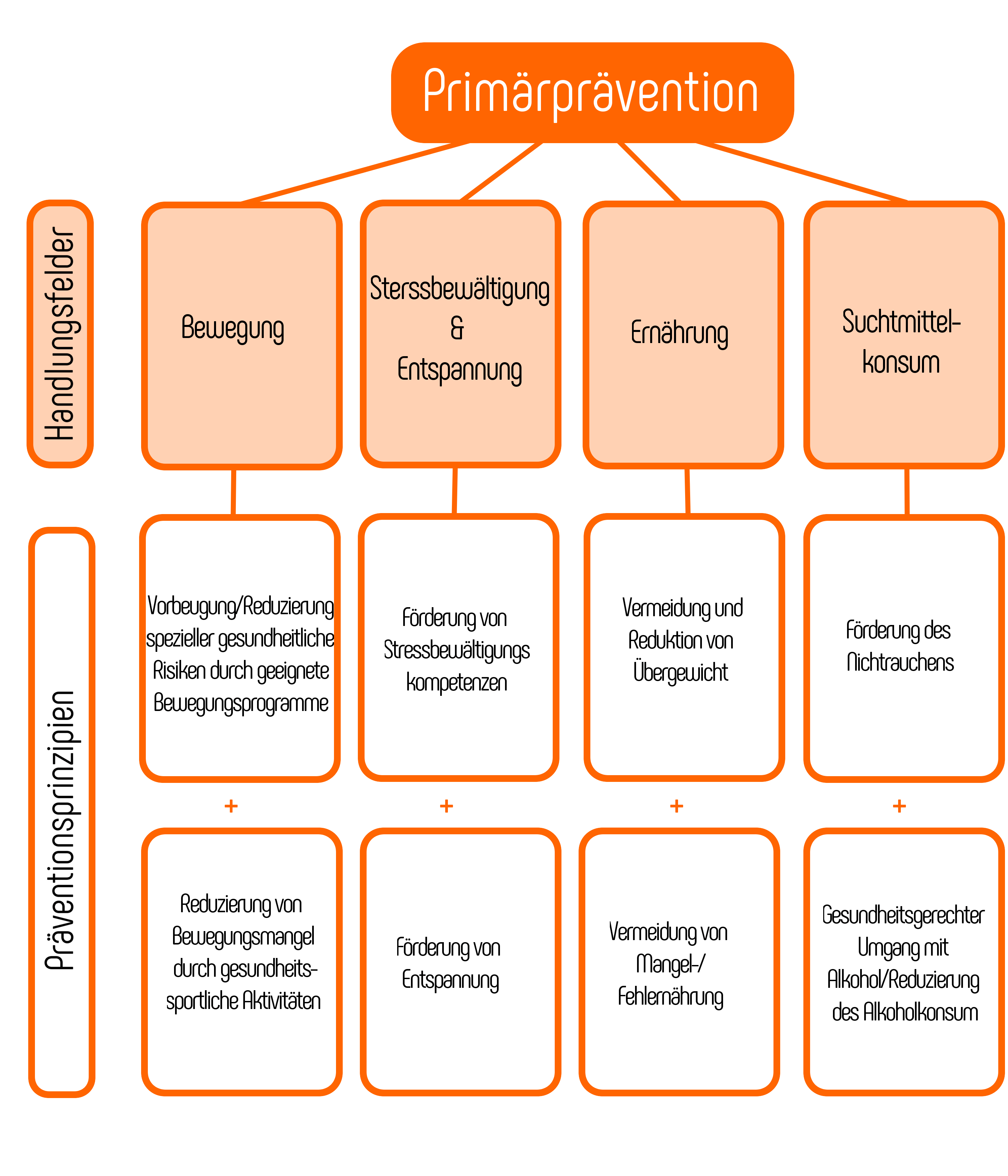 Zertifizierte Präventionskurse & ZPP Zertifizierung → Alle Informationen!